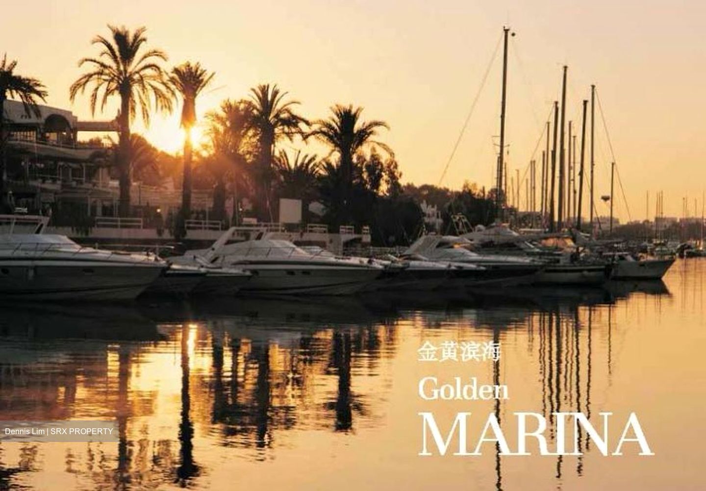 Marina Collection (D4), Condominium #638596101